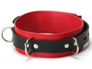 Двухцветный кожаный ошейник с кольцами