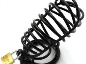 черный пояс верности