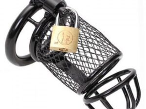 пояс верности ланселот