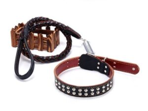Коричневый кожаный ошейник БДСМ