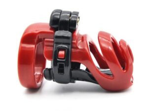 пояс верности