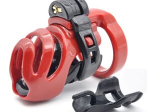 маленький пояс верности