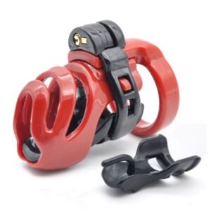 маленький пояс верности