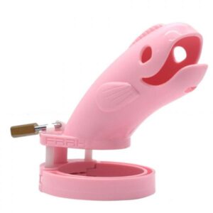 устройство целомудрия мужское